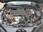 2025 Honda Civic Sport for Sale in Moncton, NB - Side