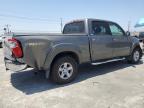 2005 Toyota Tundra Double Cab Sr5 იყიდება Sun Valley-ში, CA - All Over