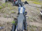 2019 Harley-Davidson Fxbb  на продаже в Elgin, IL - All Over