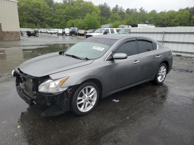  NISSAN MAXIMA 2014 Szary