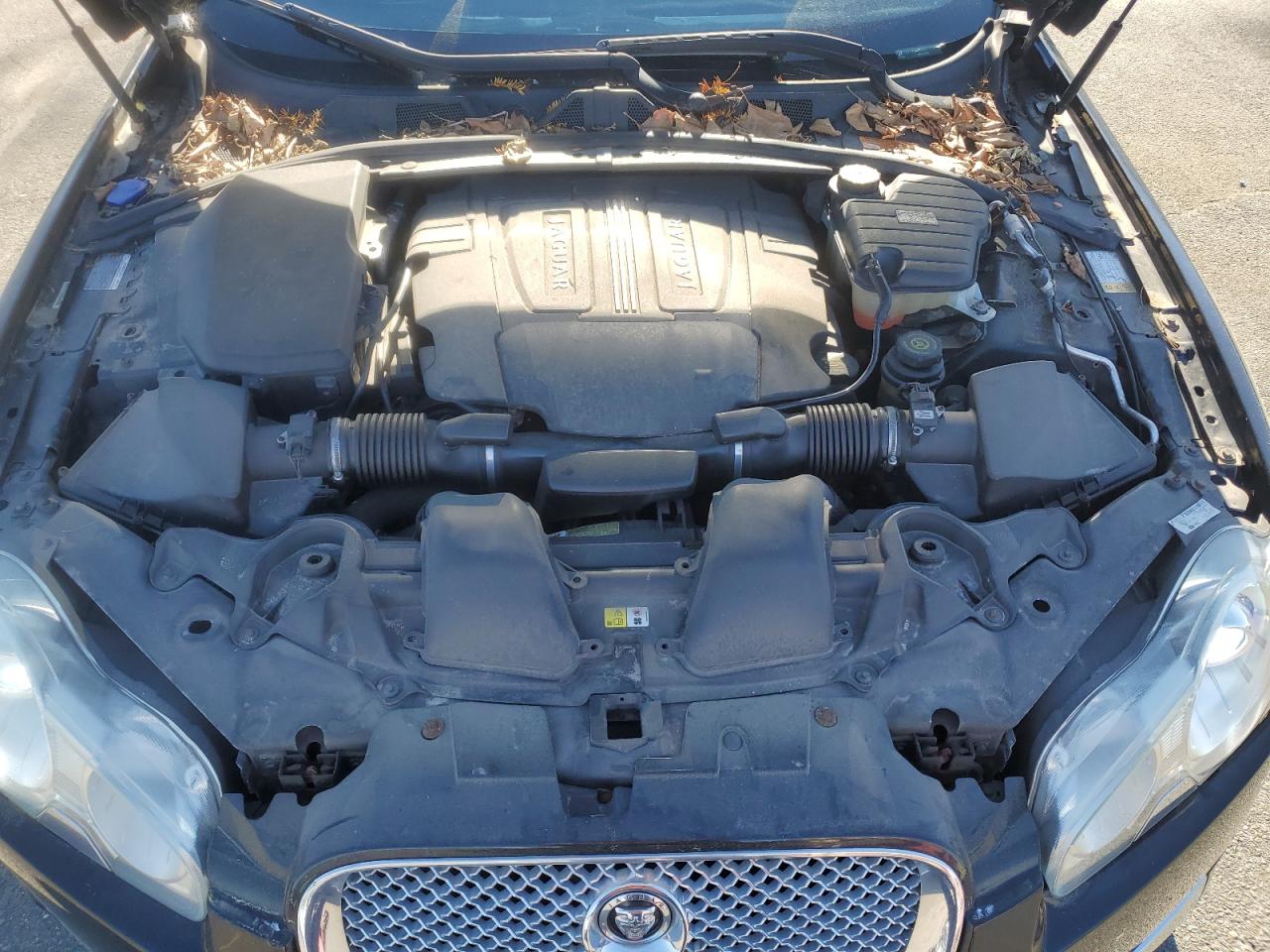 2010 Jaguar Xf Premium VIN: SAJWA0GB2ALR77852 Lot: 56589755