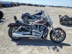 2003 HARLEY-DAVIDSON VRSCA ANNIVERSARY   for sale at Copart TX - HOUSTON EAST