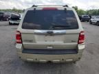 2010 Ford Escape Limited   for Sale in Dunn, NC - Side