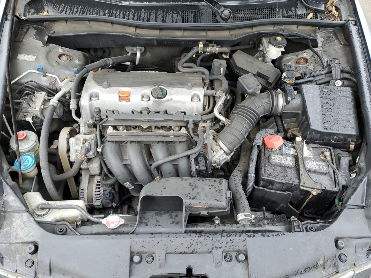 2010 Honda Accord Lx VIN: 1HGCP2F32AA084535 Lot: 57874175