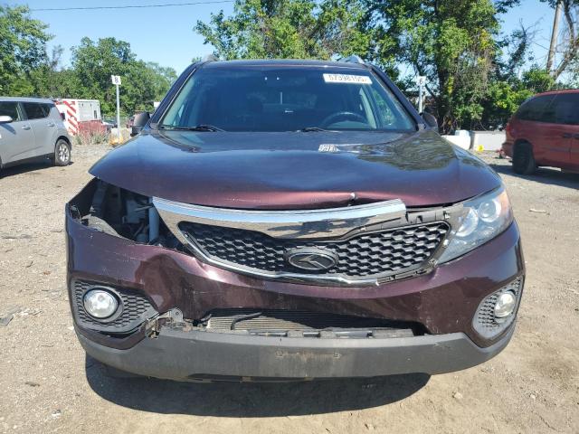  KIA SORENTO 2012 Purple