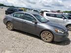 2011 Honda Accord Exl for Sale in Madisonville, TN - Front End