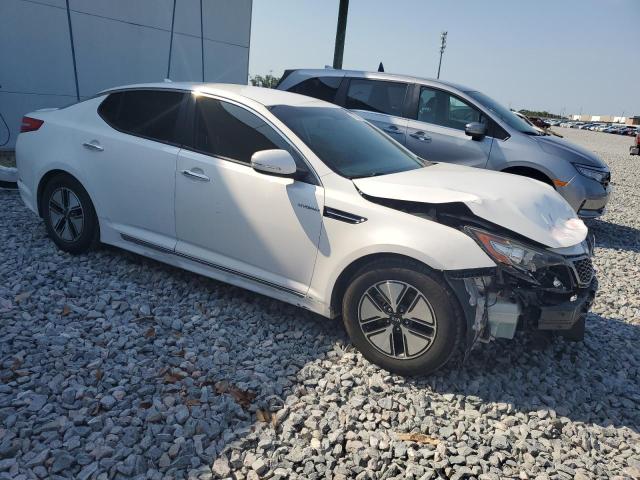  KIA OPTIMA 2013 Biały
