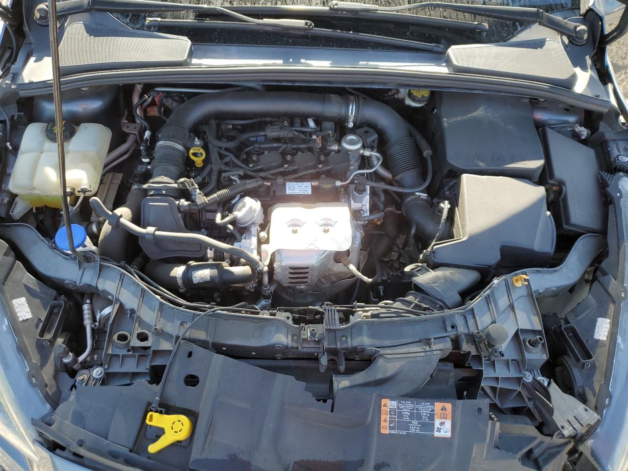 2016 Ford Focus Se VIN: 1FADP3FE8GL381855 Lot: 57366645