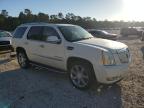 Houston, TX에서 판매 중인 2008 Cadillac Escalade Luxury - Rear End