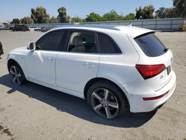  AUDI Q5 2017 Белый