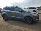 2015 Ford Escape Se   na sprzedaż w London, ON - Undercarriage