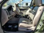 2010 Ford Escape Hybrid na sprzedaż w Lumberton, NC - Front End