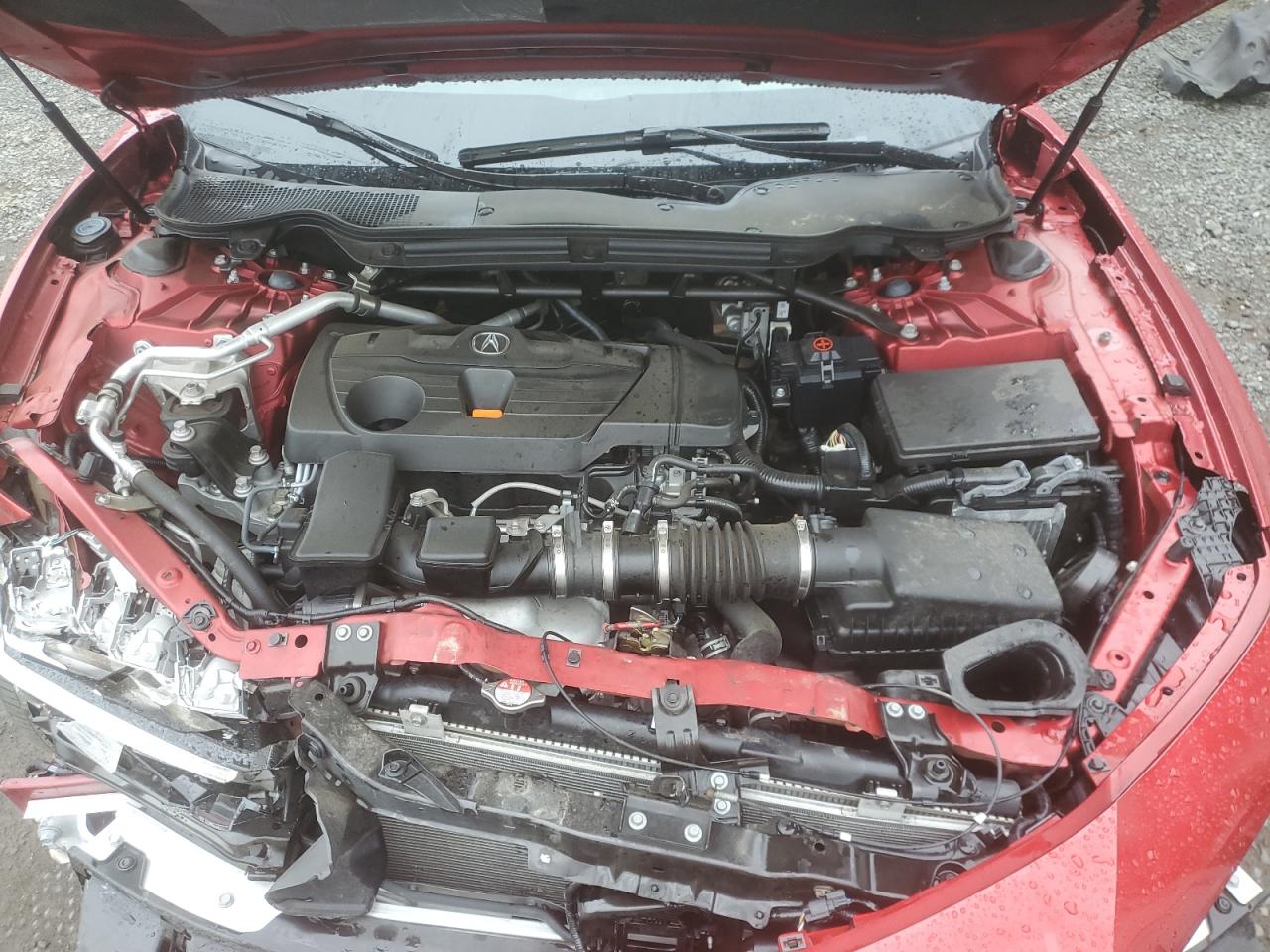 2021 Acura Tlx Advance VIN: 19UUB5F6XMA014719 Lot: 54900215
