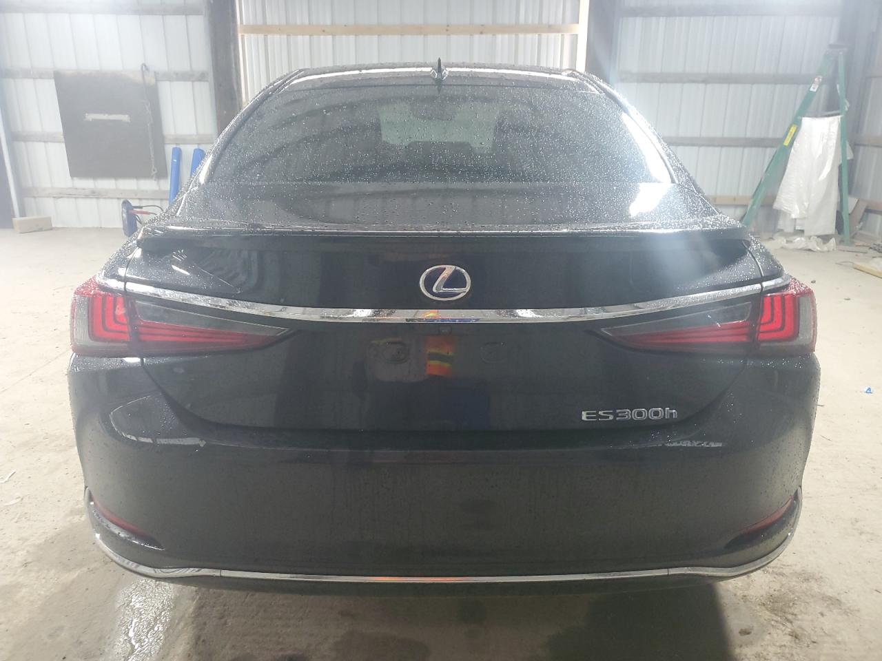 2020 Lexus Es 300H Luxury VIN: 58AE21B11LU009383 Lot: 56388655