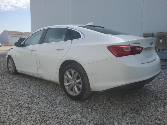  CHEVROLET MALIBU 2023 White
