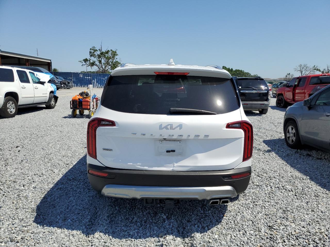2022 Kia Telluride Sx VIN: 5XYP5DHC5NG206700 Lot: 57030445