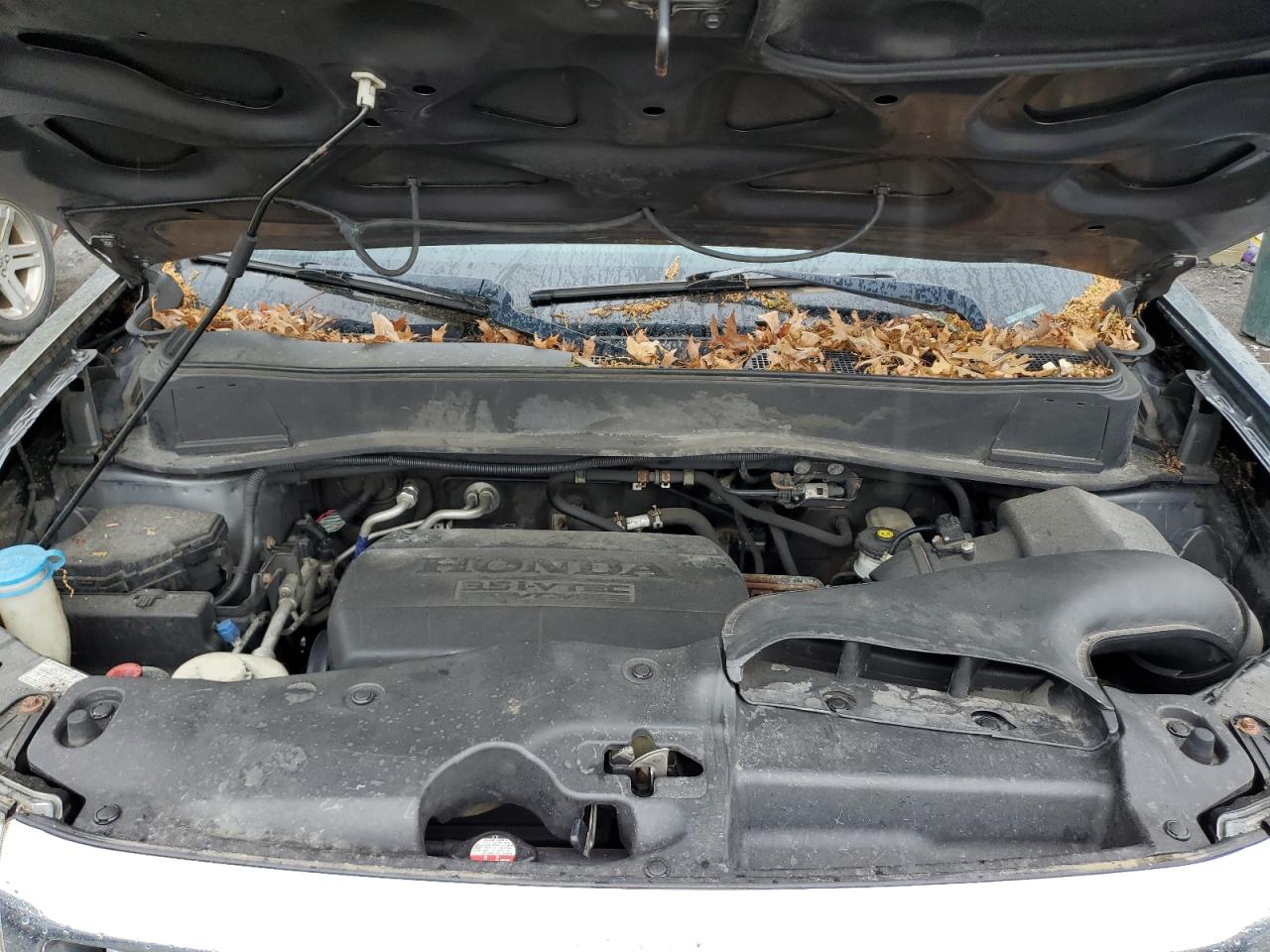 2013 Honda Pilot Lx VIN: 5FNYF4H23DB025996 Lot: 56629745