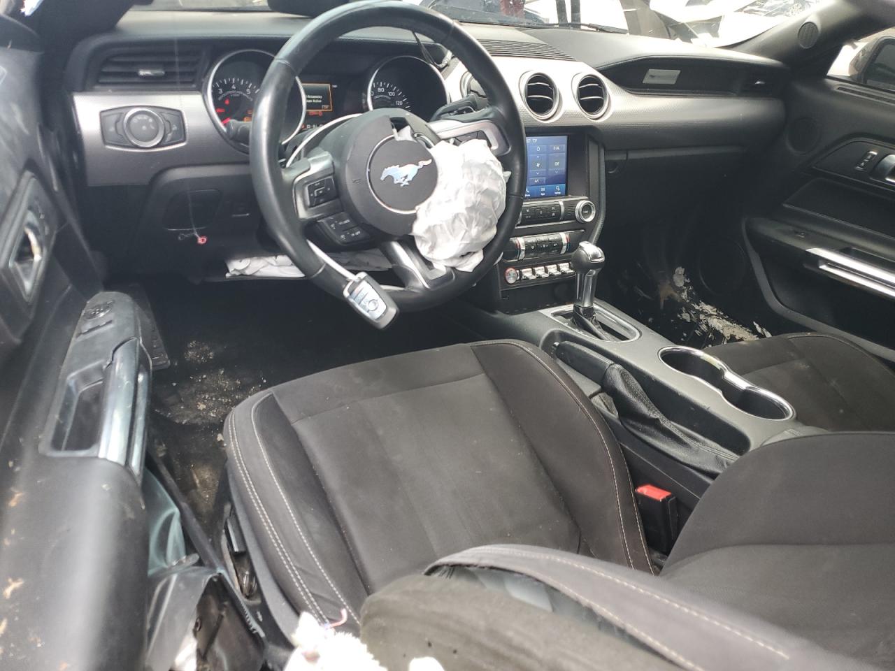 2019 Ford Mustang VIN: 1FA6P8TH7K5125594 Lot: 55512065