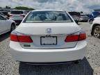 2014 Honda Accord Ex   продається в Earlington, KY - Hail