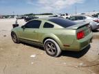 2005 Ford Mustang  for Sale in Jacksonville, FL - Rear End