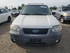 2007 Ford Escape Xlt for Sale in Hillsborough, NJ - Minor Dent/Scratches