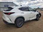 2024 Lexus Nx 350H Base იყიდება Colorado Springs-ში, CO - Front End