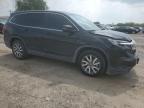 2020 Honda Pilot Ex for Sale in Mercedes, TX - All Over
