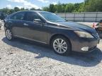2012 Lexus Es 350 للبيع في Prairie Grove، AR - Rear End