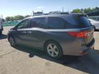 2018 Honda Odyssey Exl zu verkaufen in Denver, CO - Front End