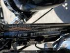 2022 Harley-Davidson Xl1200 X for Sale in Littleton, CO - Side