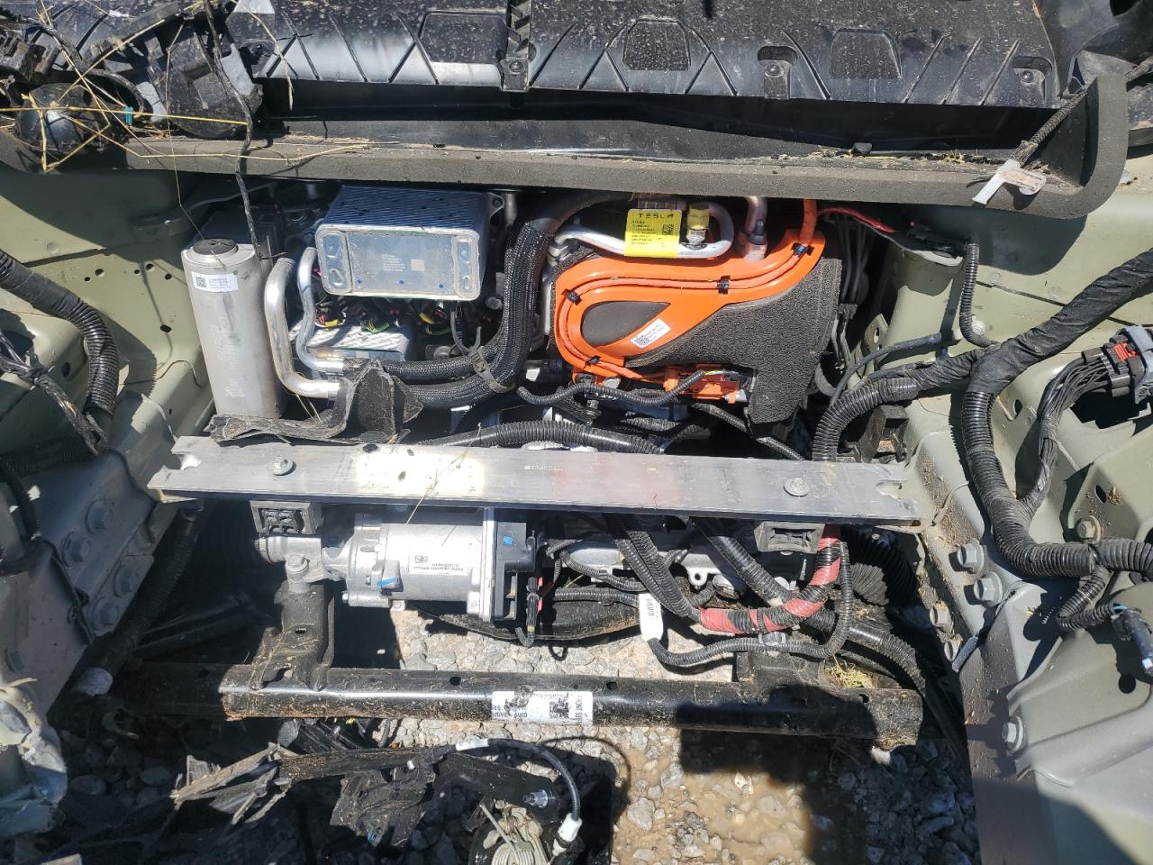 2023 Tesla Model Y VIN: 7SAYGDEF1PF895550 Lot: 55563985