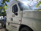2016 Freightliner Cascadia 125  zu verkaufen in Waldorf, MD - Minor Dent/Scratches