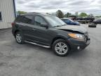 2010 Hyundai Santa Fe Limited продається в Albany, NY - Front End