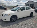 2009 Toyota Corolla Base de vânzare în Barberton, OH - Front End