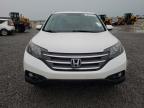 2014 Honda Cr-V Exl for Sale in Earlington, KY - Hail