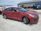 2016 Hyundai Sonata Se zu verkaufen in Louisville, KY - Side