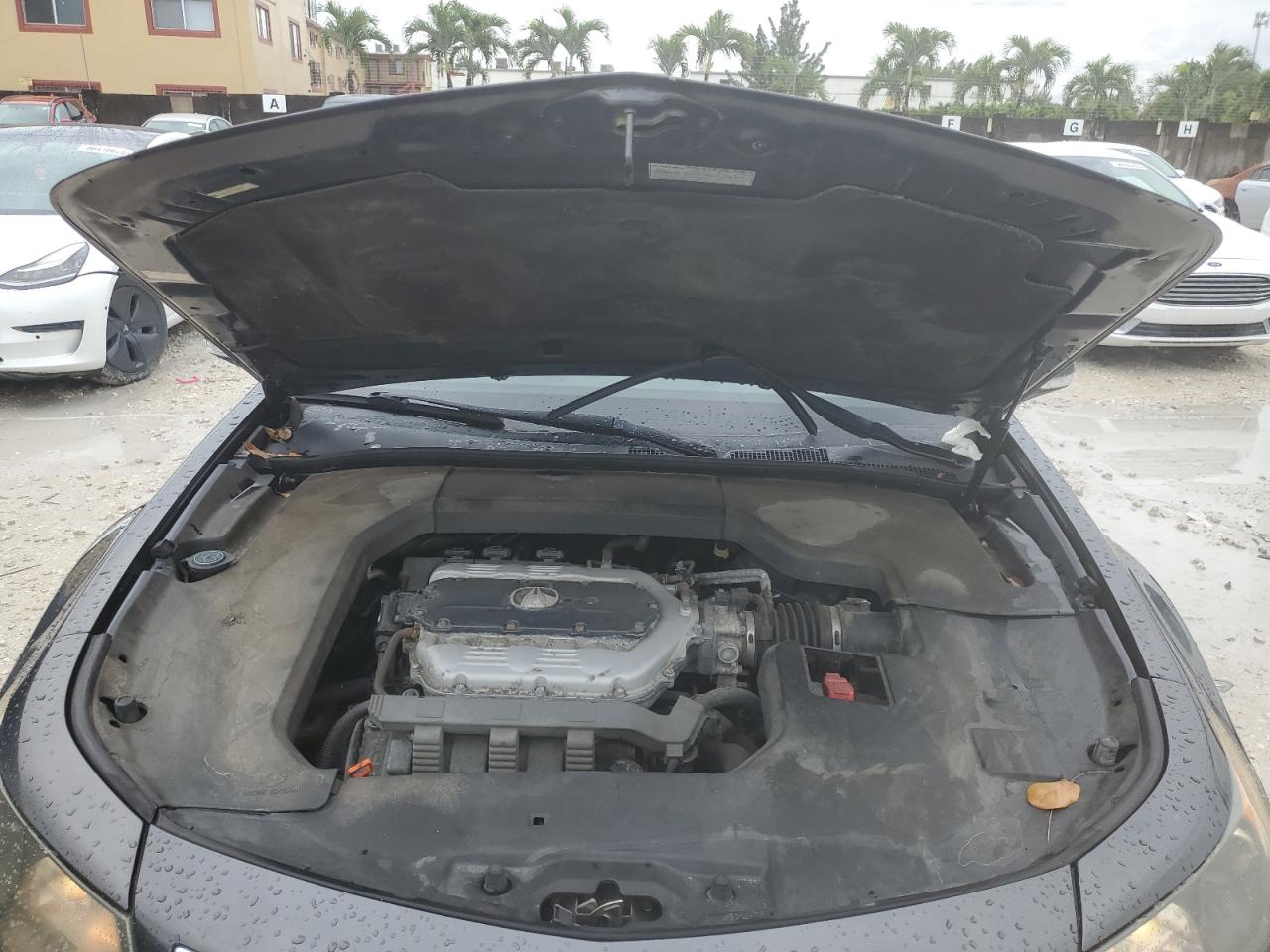 2013 Acura Tl Tech VIN: 19UUA8F55DA006202 Lot: 56676825