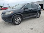 2014 Honda Cr-V Exl продається в Jacksonville, FL - Minor Dent/Scratches