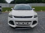 2014 Ford Escape Titanium for Sale in Gastonia, NC - Front End