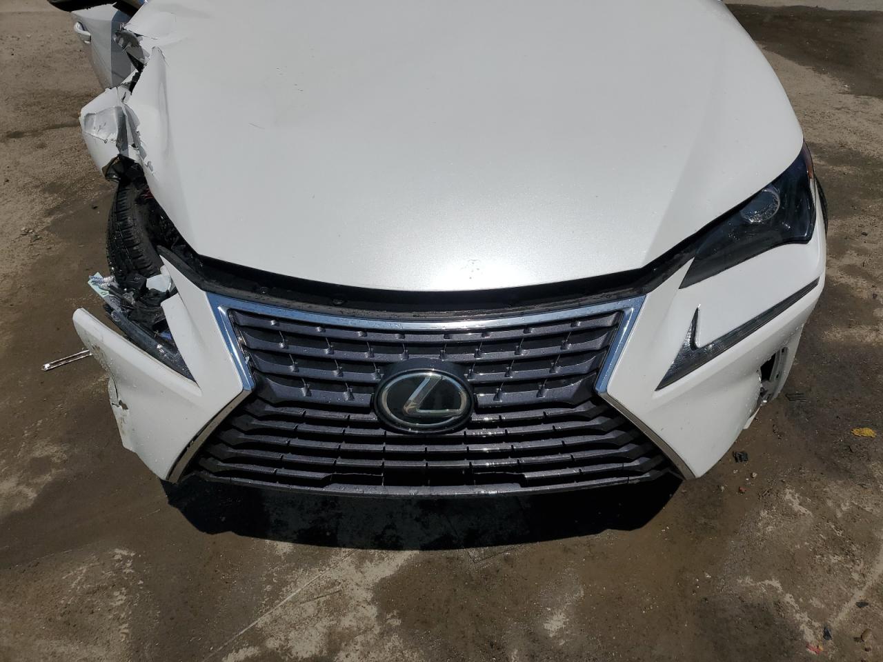 2018 Lexus Nx 300 Base VIN: JTJYARBZ6J2088894 Lot: 57559405