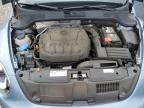 2019 Volkswagen Beetle S for Sale in Augusta, GA - Rear End