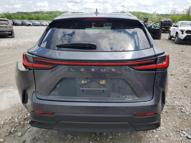 LEXUS NX 350H 2023 Szary