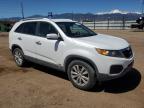 2011 Kia Sorento Base за продажба в Colorado Springs, CO - Rear End