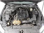 2016 Ford Mustang  na sprzedaż w Phoenix, AZ - Minor Dent/Scratches