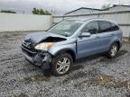 2011 Honda Cr-V Exl for Sale in Albany, NY - Front End