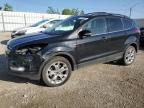 2013 FORD ESCAPE SEL à vendre chez Copart AB - EDMONTON