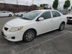 2010 Toyota Corolla Base   for Sale in Wilmington, CA - Front End