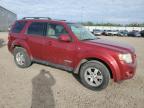2008 Ford Escape Limited for Sale in Nisku, AB - Hail