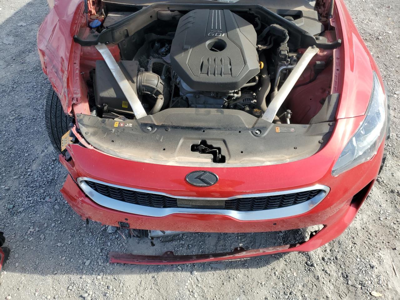 2019 Kia Stinger Premium VIN: KNAE25LA4K6056201 Lot: 57510795
