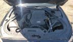 2015 Hyundai Genesis 3.8L na sprzedaż w Baltimore, MD - Front End